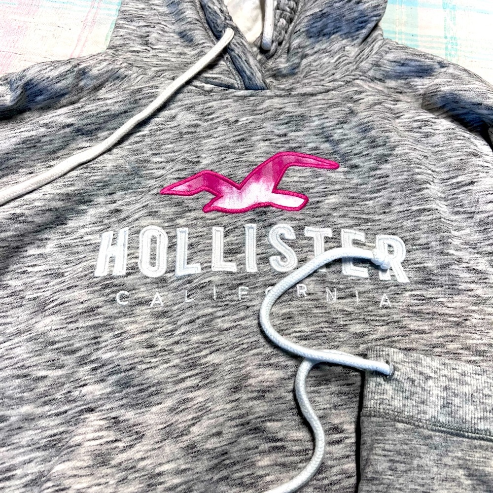 Hollister sweats